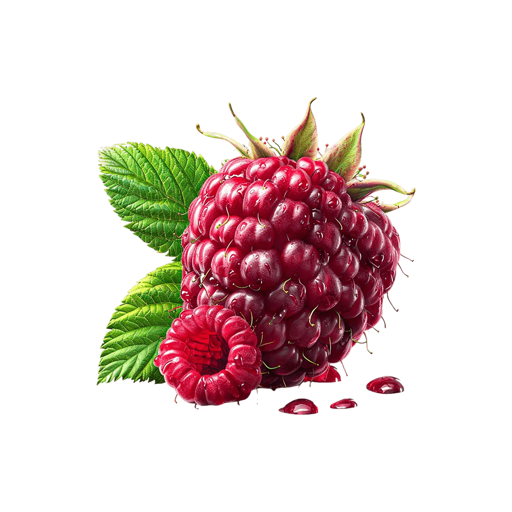 Fresh Raspberry