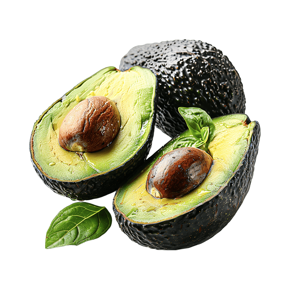 Fresh Avocado