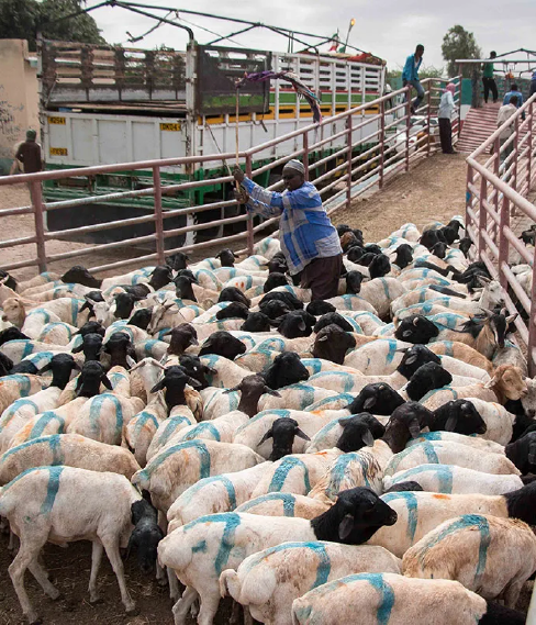 project-4-rehvrakgwgsg9892iy308jjihklbjed3wrjk4oj9ru-02